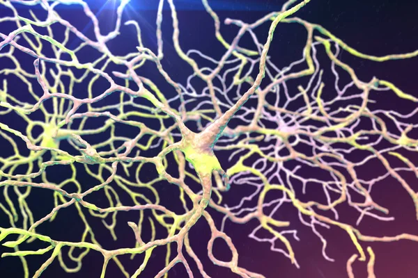 Neurona Retiniana Una Neurona Que Juega Papel Crucial Visión Transforma — Foto de Stock