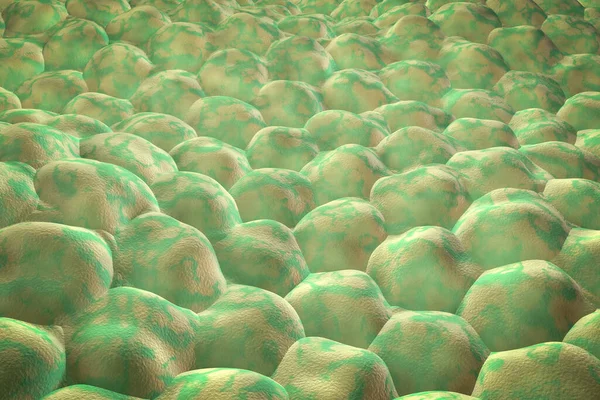 Zellschicht Illustration Forschungshintergrund Perfekt Haut Epithel Stammzellen Gewebe Illustrieren — Stockfoto
