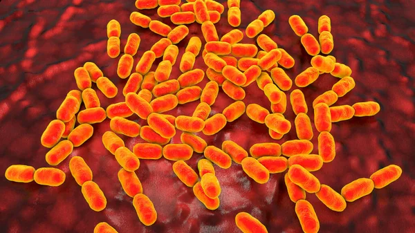 Kingella Bacterie Illustratie Koloniseren Keel Van Kinderen Veroorzaken Soms Invasieve — Stockfoto