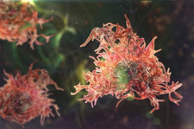 Pseudopodia 'lı insan parazitli amip, 3 boyutlu illüstrasyon