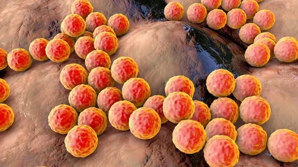 Bakteri Staphylococcus Aureus Staphylococcus Epidermidis Mrsa Ilaca Dirençli Bakteri Çizim — Stok fotoğraf