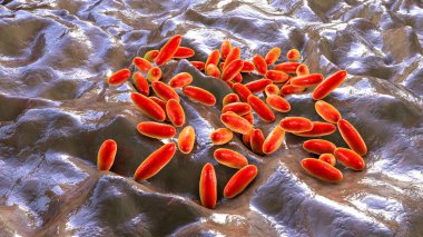 Veba bakterisi Yersinia pestis, bilimsel olarak doğru 3D illüstrasyon