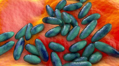 Plague bacteria Yersinia pestis, scientifically accurate 3D illustration clipart