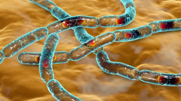 Bacterias Bacillus Anthracis Agente Causal Enfermedad Del Ántrax Ilustración Puede —  Fotos de Stock