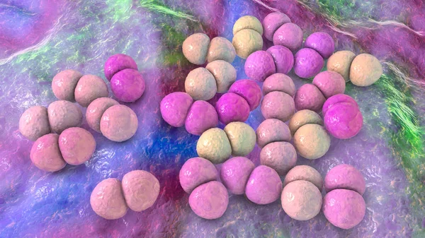 Bakteri Streptococcus pneumoniae, 3 boyutlu illüstrasyon. Gram-pozitif diplokoksi, zatürreenin ve diğer bölgelerdeki enfeksiyonların nedeni.