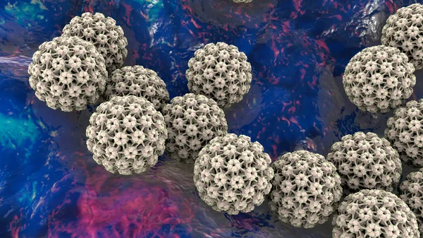 Human papillomavirus, a virus which causes warts, some strains infect genitals and can cause cervical cancer, 3D illustration