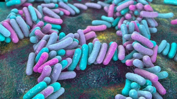 Bacteria Human Microbiome Normal Microflora Human Body Illustration — Stock Photo, Image