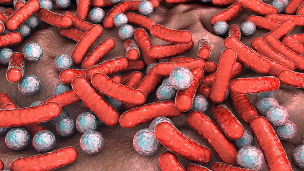 Rod-shaped bacteria and cocci, human microbiome, human pathogenic bacteria, 3D illustration