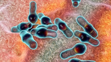 Spor oluşturan bakteri Clostridium, tetanos, botulizm, gaz kangreni ve psödomembran kolit, 3 boyutlu illüstrasyon