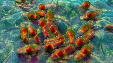 Spor oluşturan bakteri Clostridium, tetanos, botulizm, gaz kangreni ve psödomembran kolit, 3 boyutlu illüstrasyon
