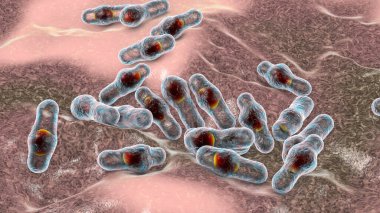 Spor oluşturan bakteri Clostridium, tetanos, botulizm, gaz kangreni ve psödomembran kolit, 3 boyutlu illüstrasyon