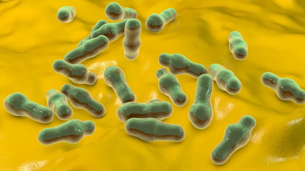 Bakterie Tworzące Zarodniki Clostridium Czynnik Sprawczy Tężca Zatrucia Jadem Kiełbasianym — Zdjęcie stockowe