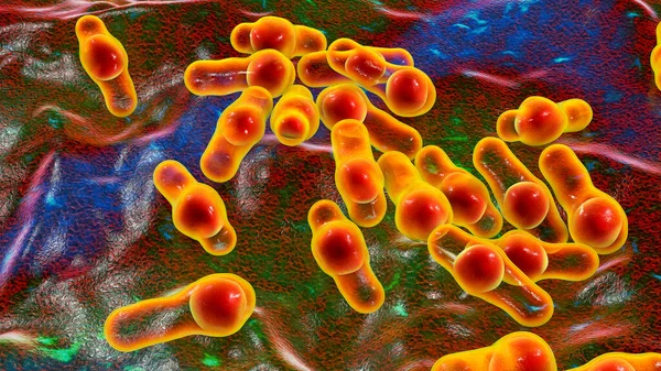 Bakterie Tworzące Zarodniki Clostridium Czynnik Sprawczy Tężca Zatrucia Jadem Kiełbasianym — Zdjęcie stockowe