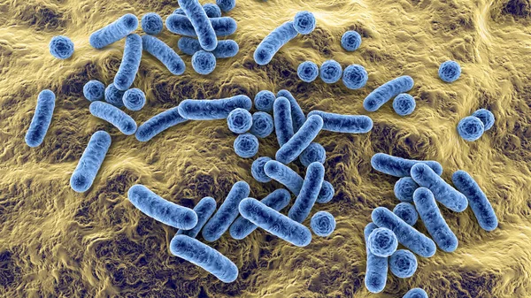 異なる形状の細菌 ロッド状の細菌とコッチ ヒト微生物 ヒト病原性細菌 3Dイラスト — ストック写真
