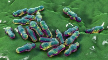 Spor oluşturan bakteri Clostridium, tetanos, botulizm, gaz kangreni ve psödomembran kolit, 3 boyutlu illüstrasyon