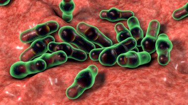 Spor oluşturan bakteri Clostridium, tetanos, botulizm, gaz kangreni ve psödomembran kolit, 3 boyutlu illüstrasyon
