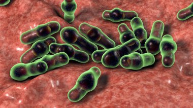 Spore-forming bacteria Clostridium, the causative agent of tetanus, botulism, gas gangrene and pseudomembraneous colitis, 3D illustration clipart