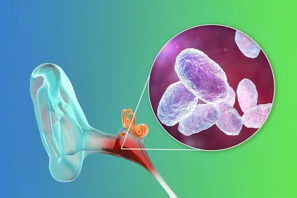 Doencas Causadas Por Bacterias Resumo Planeta Biologia