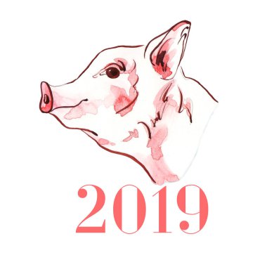 Domuz suluboya çizimi elle boyanmış. Yeni yıl 2019 sembolü. Çiftlik hayvanları profil portresi. Beyaz arka plan üzerinde izole çizilmiş kroki.