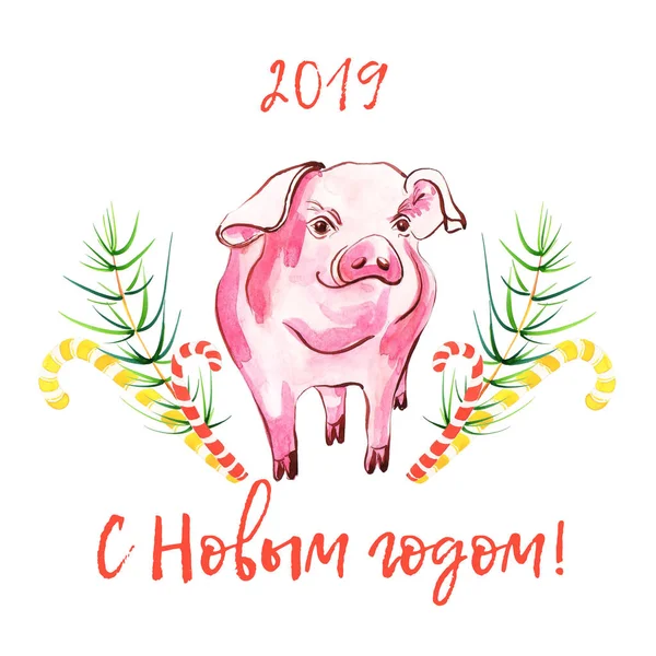 Porco bonito em manchas aquarelas. Ano Novo 2019 cartão (russo ). — Fotografia de Stock