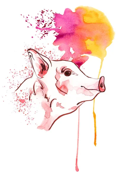 Cute pig in watercolour spots. New year 2019 banner. — Stock Photo, Image