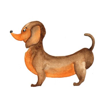 Suluboya portre Dachshund posteri.