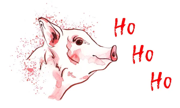 Мила свиня в акварельних плямах. Новий рік 2019 року. Хо-Хо-Хо . — стокове фото