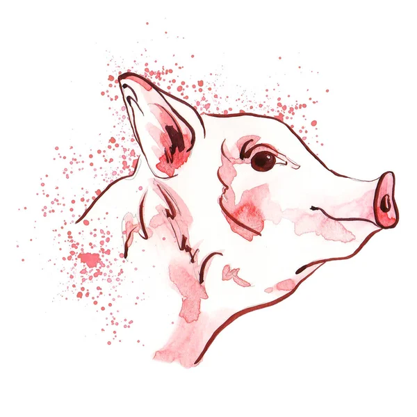 Niedliches Schwein in Aquarellflecken. Aquarell-Symbol Sternzeichen. — Stockfoto