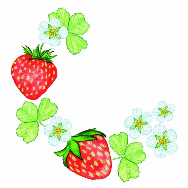 Düzenleme suluboya çilek. Bio tatlı meyve.