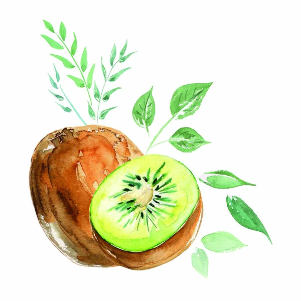 Elrendezése akvarell Kiwi. Bio édes gyümölcsök. — Stock Fotó