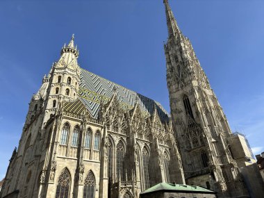St. Stephen Katedrali (Stefansdom). Viyana. Avusturya.