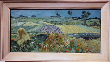 Belvedere Müzesi. Vincent van Gogh 1853 - 1890. Auvers ovası. 1890 'da. Viyana. Avusturya.