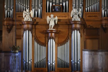 Aziz Jacques Kilisesi. Meleklerle boru orgu. Sallanch 'lar. Fransa.