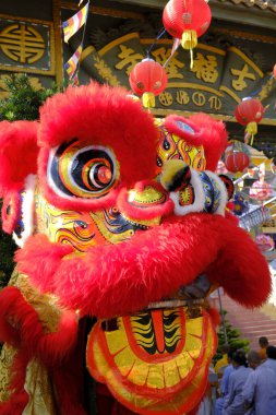 Phuoc Long Budist tapınağı. Geleneksel Çin aslanı yeni yılı kutlamak için dans ediyor. Tan Chau. Vietnam.