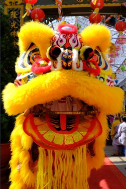Phuoc Long Budist tapınağı. Geleneksel Çin aslanı yeni yılı kutlamak için dans ediyor. Tan Chau. Vietnam.