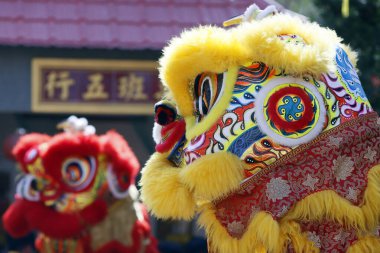 Phuoc Long Budist tapınağı. Geleneksel Çin aslanı yeni yılı kutlamak için dans ediyor. Tan Chau. Vietnam.