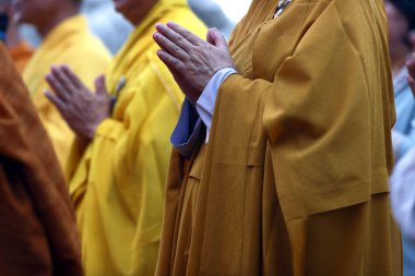 Phuoc Long Budist tapınağı. Keşişler Vesak töreninde dua ediyor. Tan Chau. Vietnam.