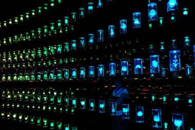 Geleceğin Müzesi. Kütüphane - Yaşam Kasası olarak da bilinir - Şifa Enstitüsü 'nde. Gezegenlerimizin doğal zenginliğinin geniş bir ekolojik arşivi. Dubai, BAE, Birleşik Arap Emirlikleri.