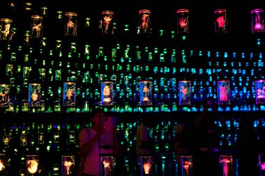 Geleceğin Müzesi. Kütüphane - Yaşam Kasası olarak da bilinir - Şifa Enstitüsü 'nde. Gezegenlerimizin doğal zenginliğinin geniş bir ekolojik arşivi. Dubai, BAE, Birleşik Arap Emirlikleri.