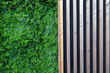 Ahşap ve bitkilerle dolu bir ev duvarı. Fransa.