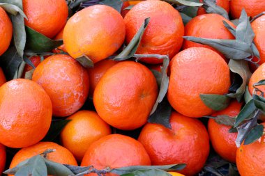 Piyasada satılık Mandarinler. Fransa.