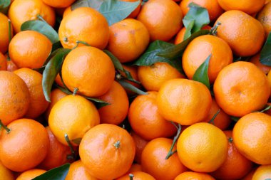 Piyasada satılık Mandarinler. Fransa.