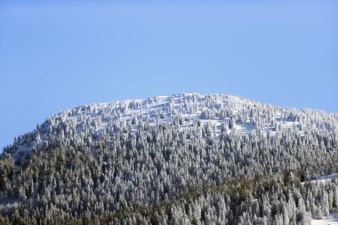Fransız Alpleri kışın taze karla.