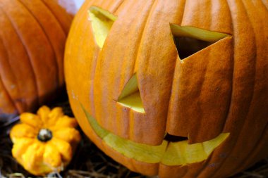 Cadılar Bayramı balkabağı kabağı suratlı korkunç surat ve nazar değneği. Fransa.