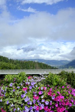 Mont Blanc köprüsünün önündeki çiçekler. Aziz Gervais. Fransa.