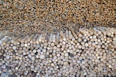 Mutfak için kütük deposu. Tan Chau. Vietnam.