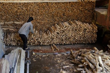 Mutfak için kütük deposu. Depoyu düzenlemeye çalışan bir kadın. Tan Chau. Vietnam.