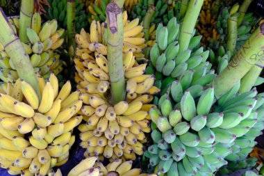 Meyve pazarı. Satılık muz demetleri. Rengi. Vietnam.