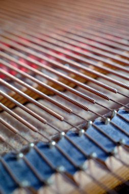 Bir kuyruklu piyanonun içi. İplerdeki detaylar..