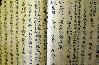 Fito Müzesi veya Vietnam Geleneksel Tıp Müzesi. Eski oryantal tıp kitabı, Çince. Ho Chi Minh Şehri. Vietnam.